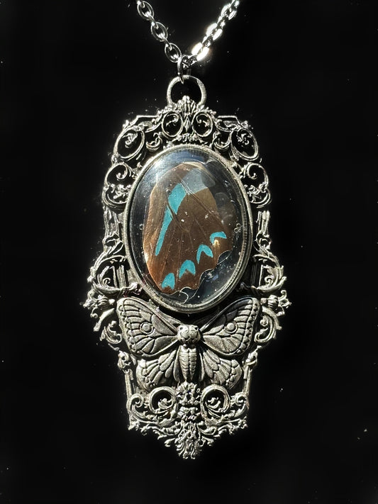 MOTH IN A COFFIN - Mother of Hades Blue Butterfly Wing Necklace