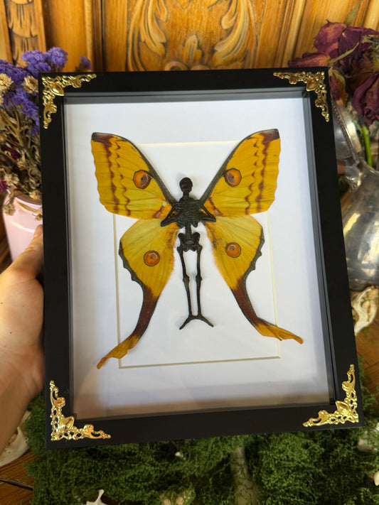 COMET MOTH FAIRY (F) - Mother of Hades Dead Fairy Collection