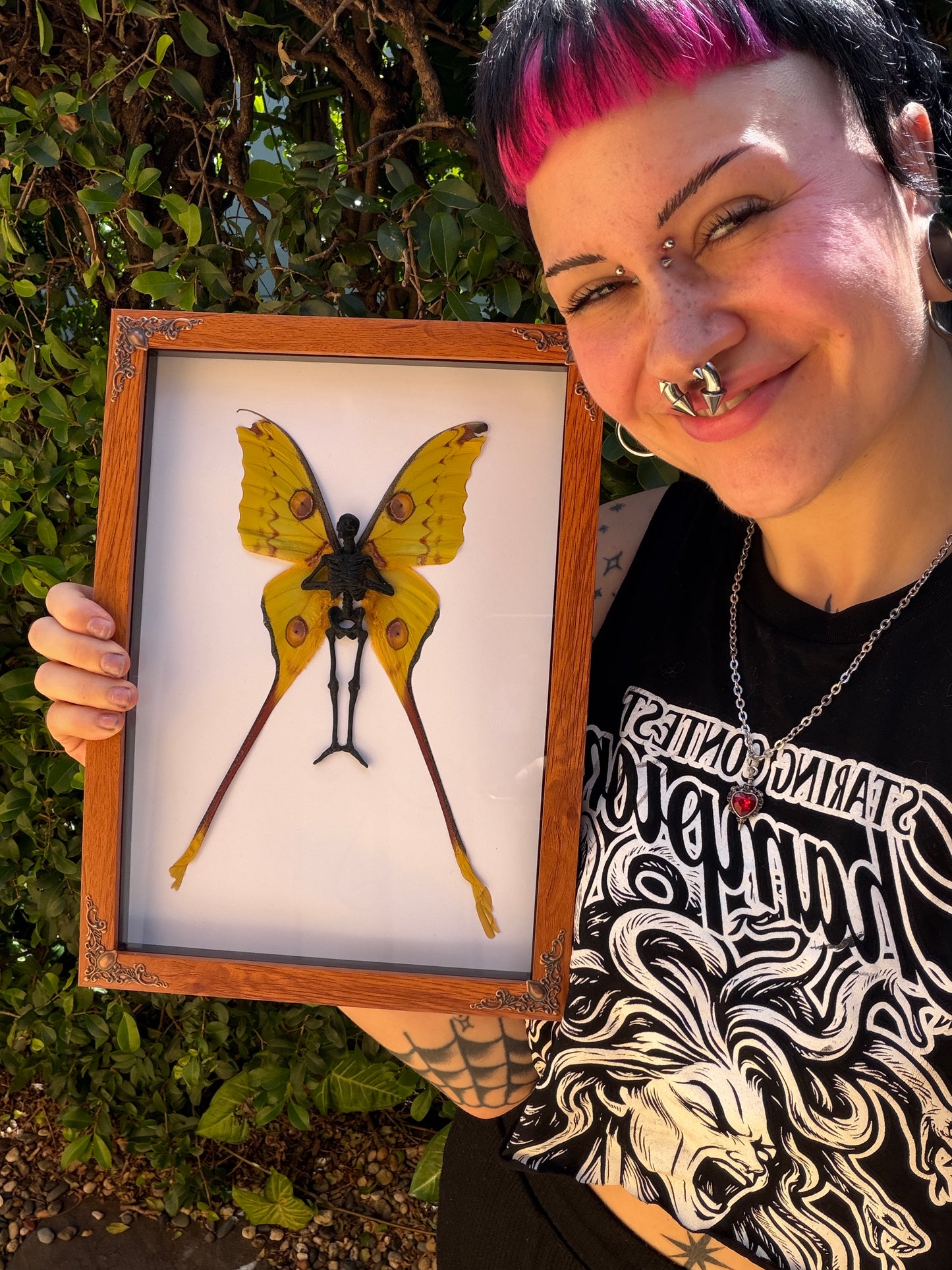 COMET MOTH FAIRY - Mother of Hades Dead Fairy Collection