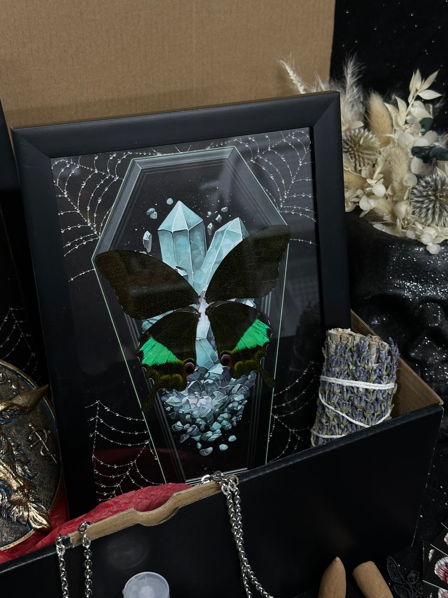 HALLOWEEN MYSTERY ODDITY FUNDRAISER BOX Lrg - Mother of Hades