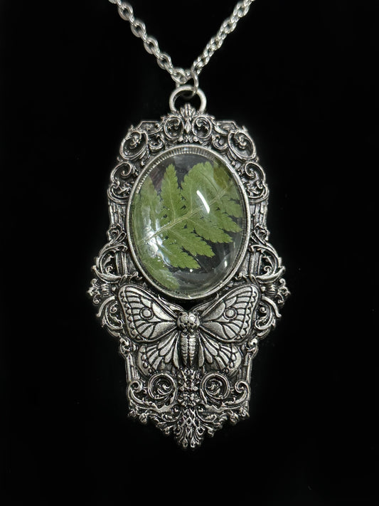 MOTH IN A COFFIN - Mother of Hades Fern Necklace