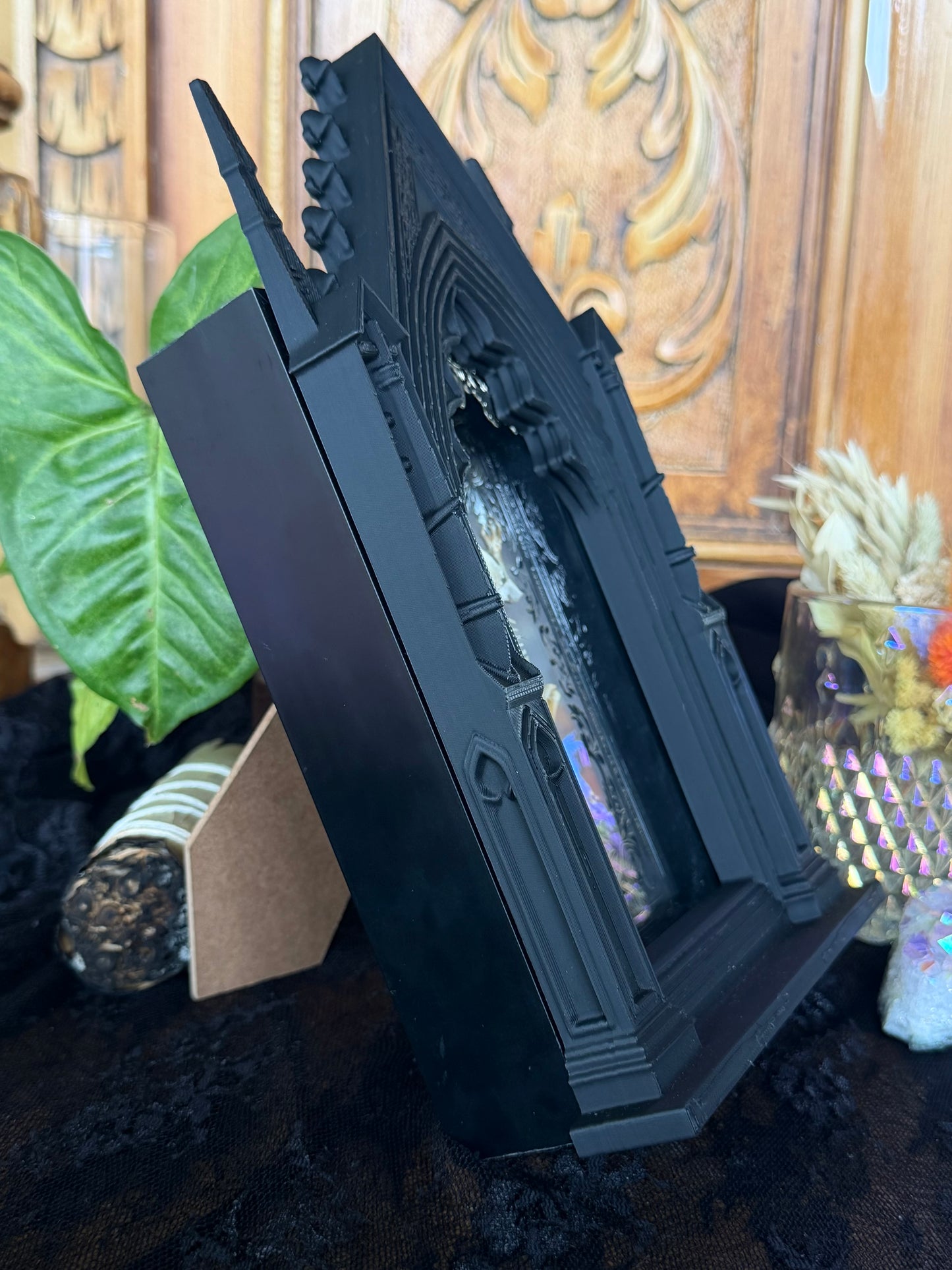 Asian Common Toad Skeleton Cathedral - Duttaphrynus melanostictus A5 Framed Specimen