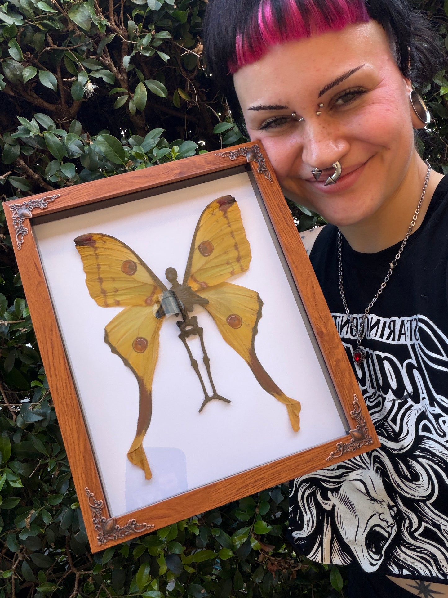 COMET MOTH FAIRY (F) - Mother of Hades Dead Fairy Collection