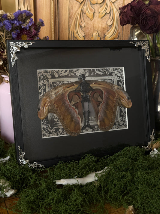 ATLAS FAIRY (silver) - Mother of Hades Dead Fairy Collection