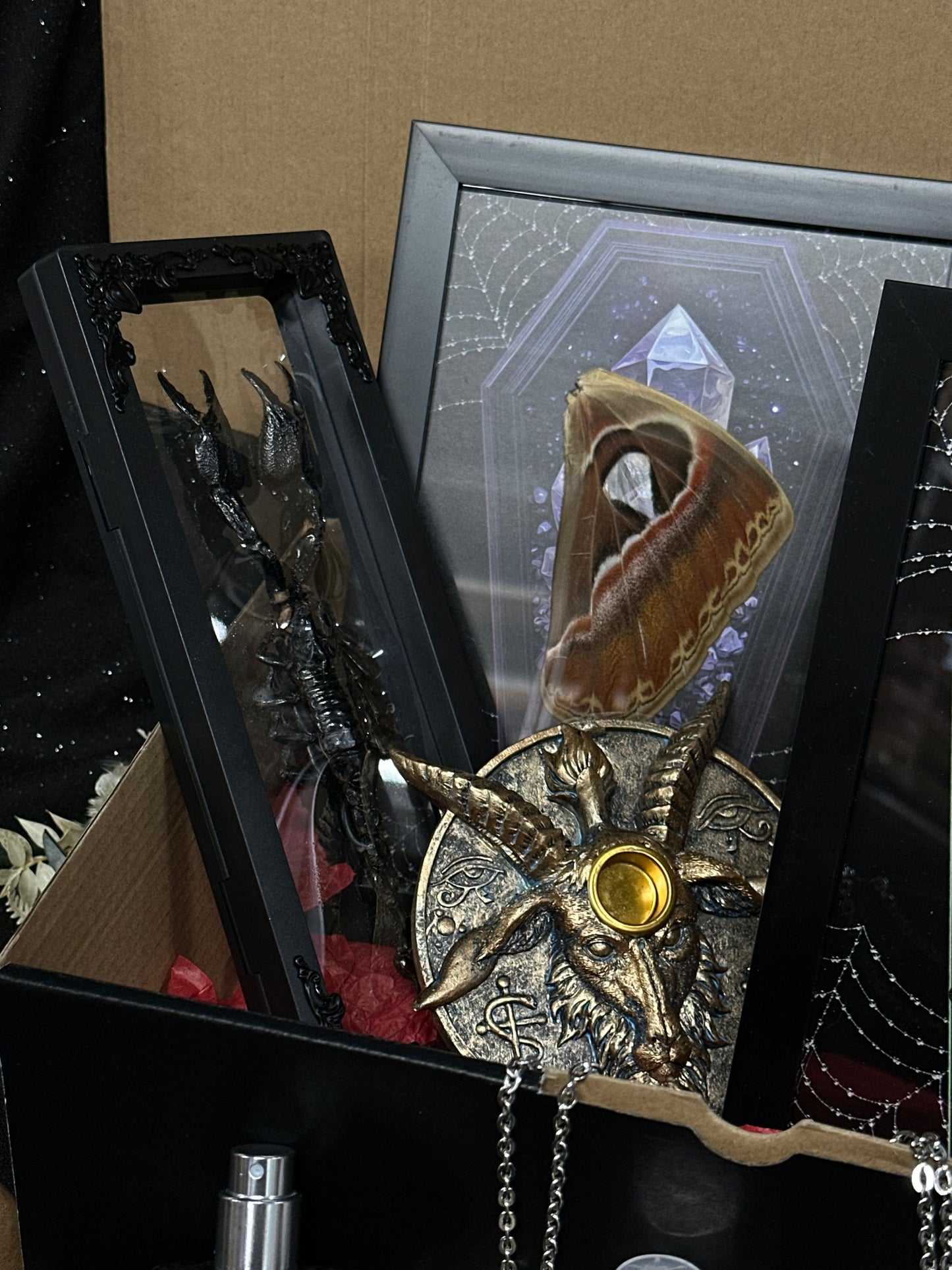 HALLOWEEN MYSTERY ODDITY FUNDRAISER BOX Lrg - Mother of Hades