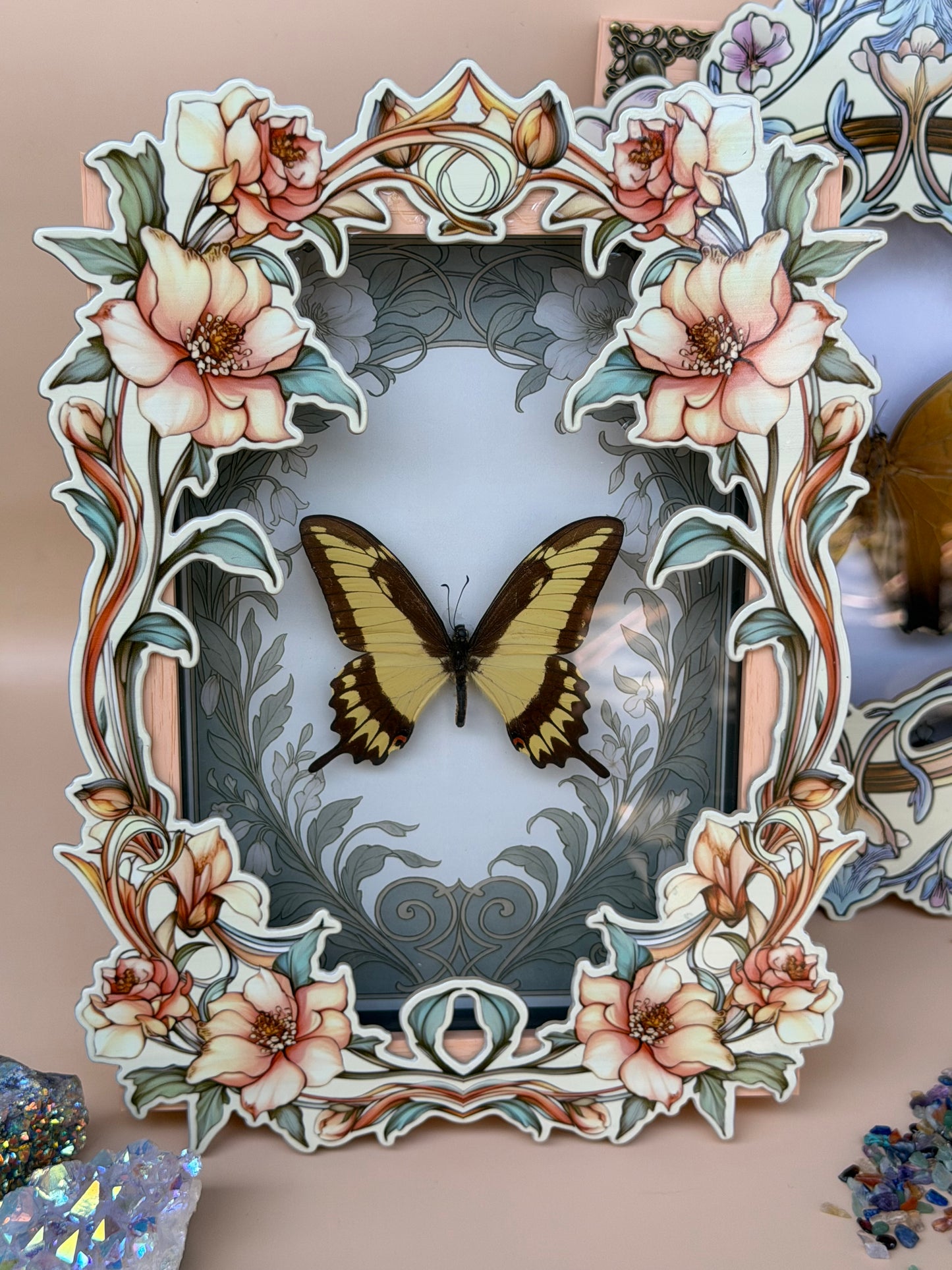 KING SWALLOWTAIL BUTTERFLY - heraclides thoas Framed Specimen
