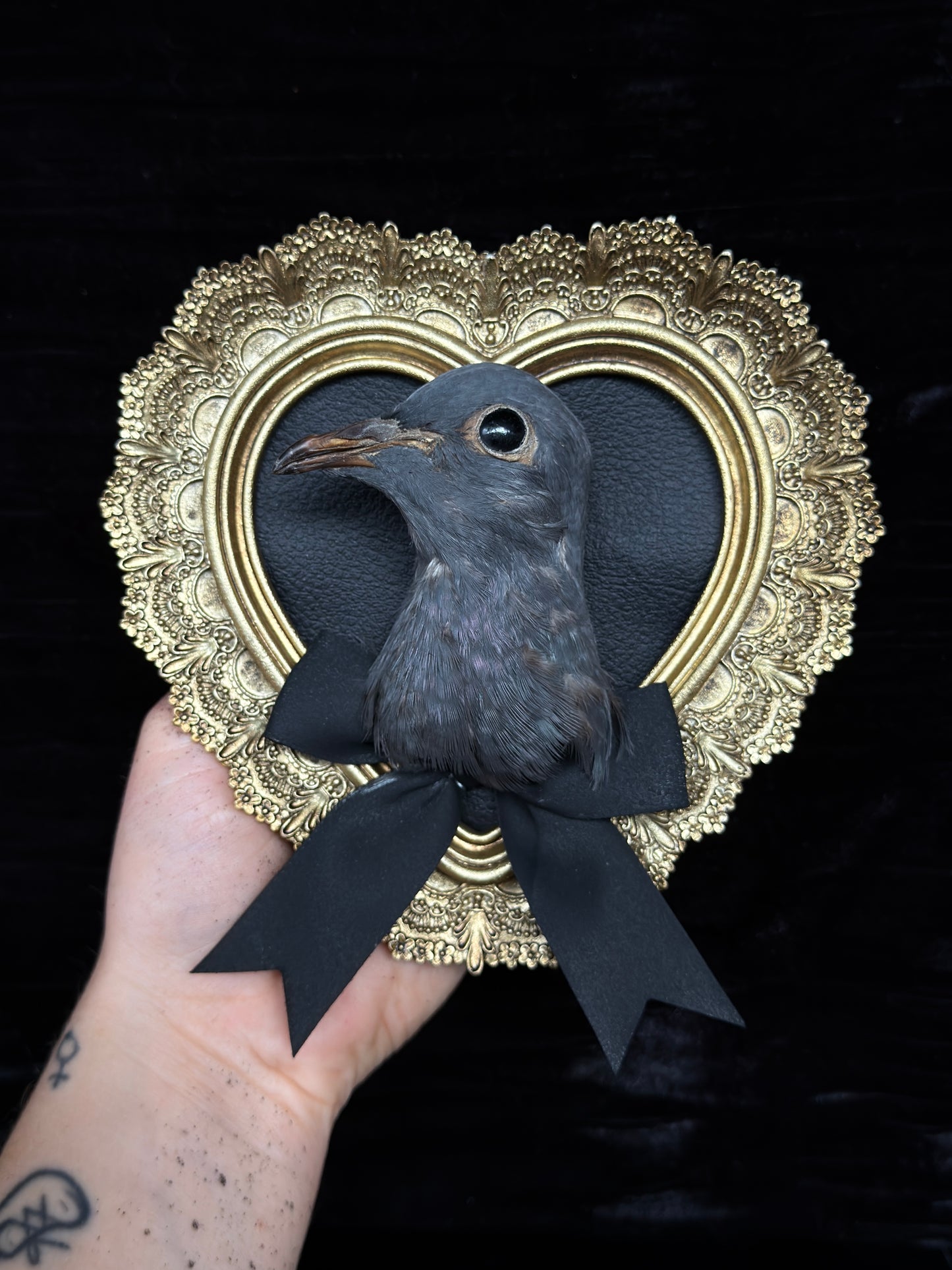 PIGEON HEAD - Mother of Hades Small Gold Heart Open Display Frame