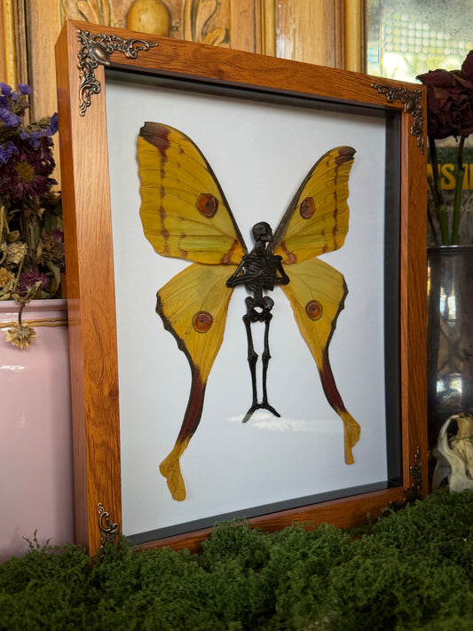 COMET MOTH FAIRY (F) - Mother of Hades Dead Fairy Collection