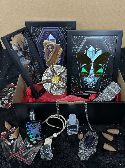 HALLOWEEN MYSTERY ODDITY FUNDRAISER BOX Lrg - Mother of Hades