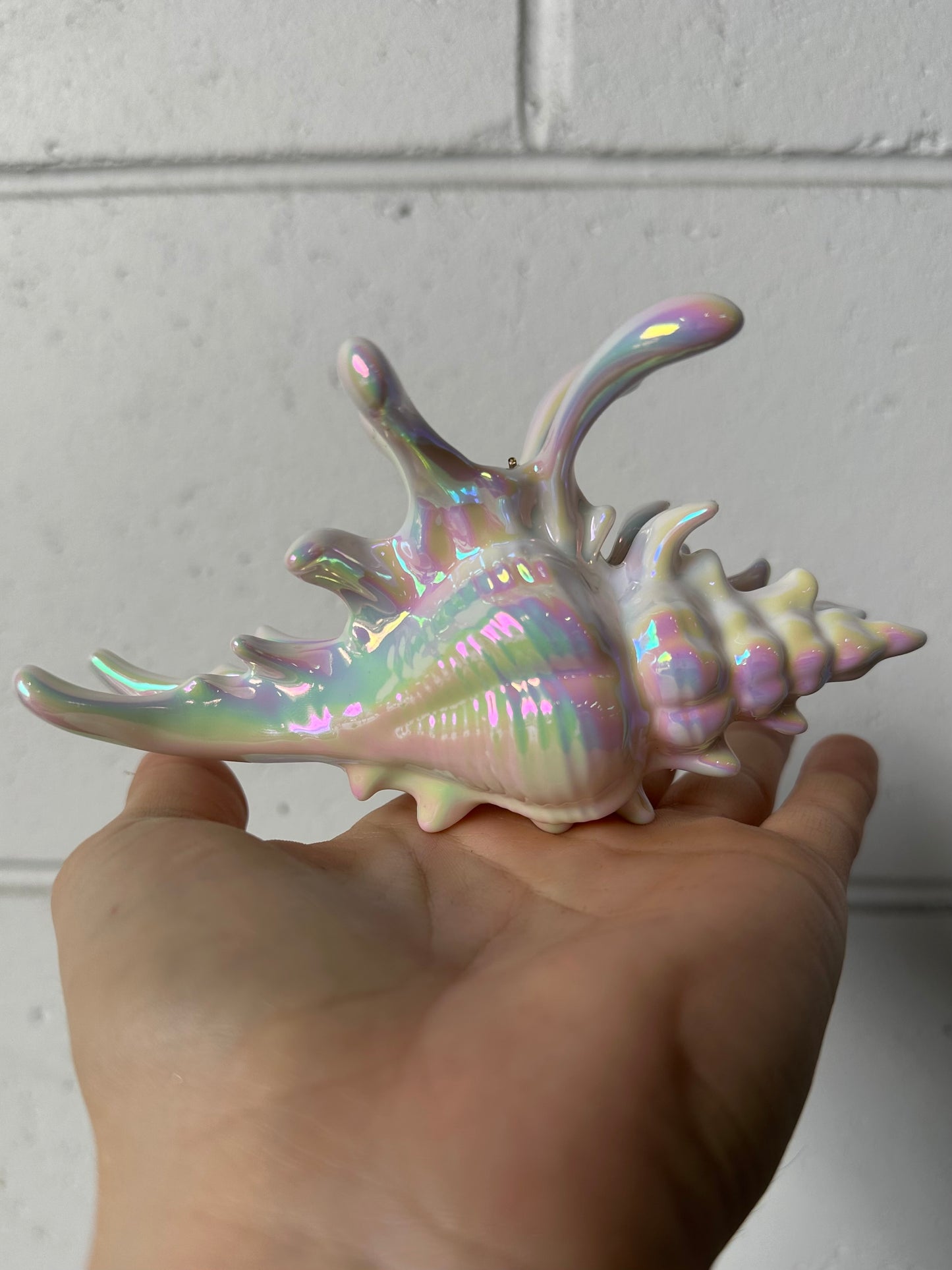 SHELLY - Iridescent Shell Hair Clip