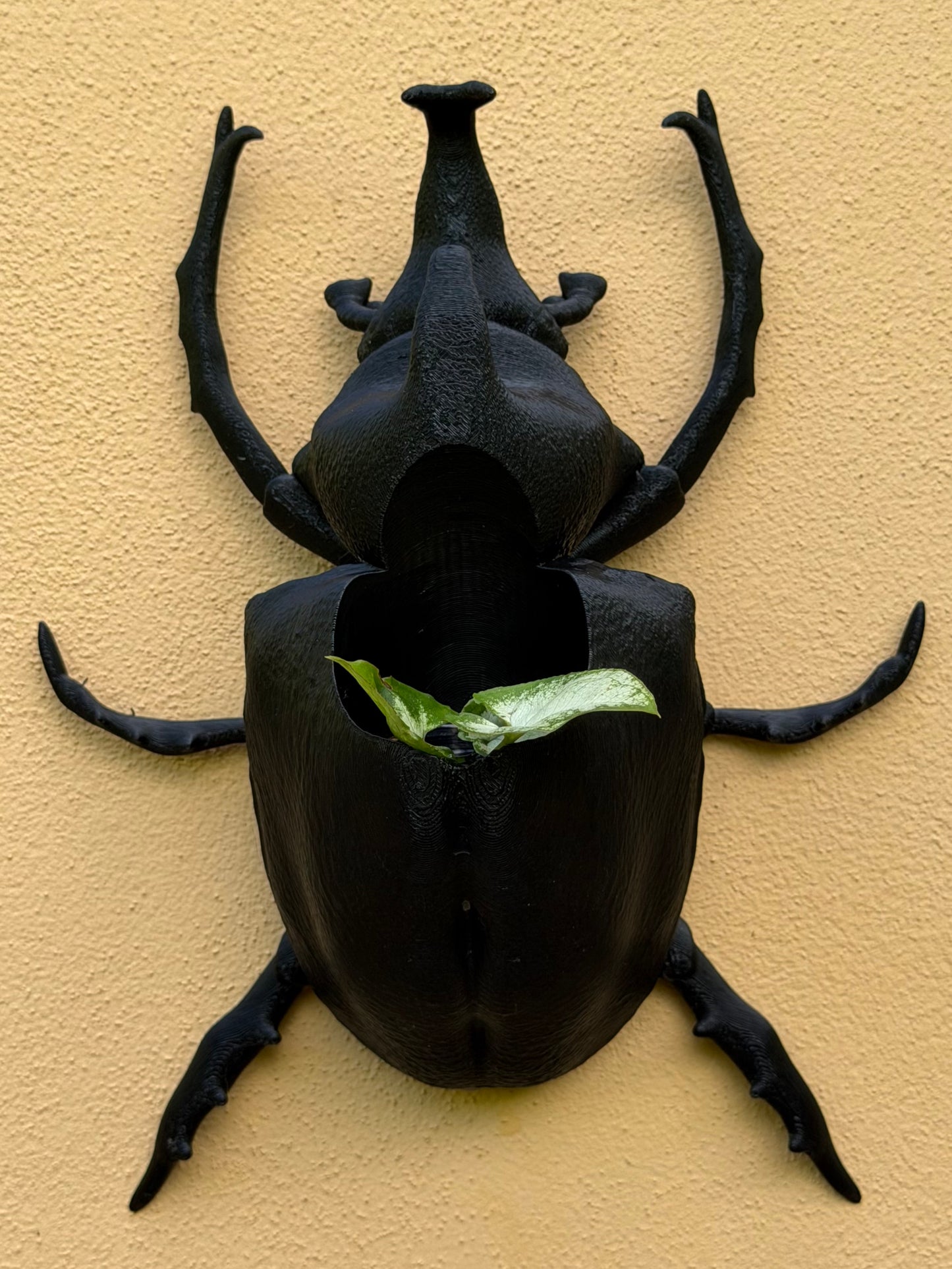 Black beetle-shaped wall art on a beige wall