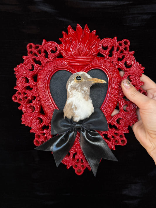 PIGEON HEAD - Mother of Hades Red Heart Open Display Frame