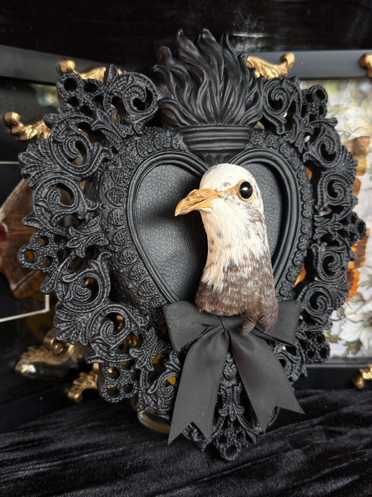PIGEON HEAD - Mother of Hades Black Heart Open Display Frame
