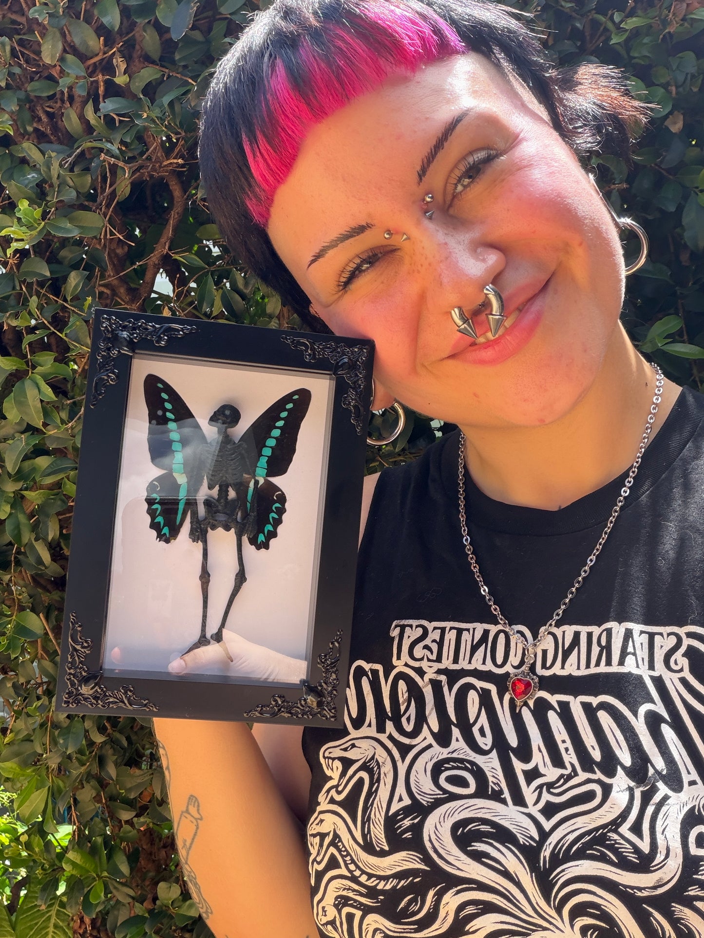 MILON’S SWALLOWTAIL FAIRY - Mother of Hades Dead Fairy Frame