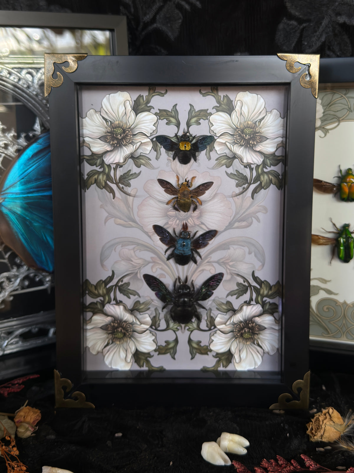 CARPENTER BEE QUAD - A5 Bee Frame