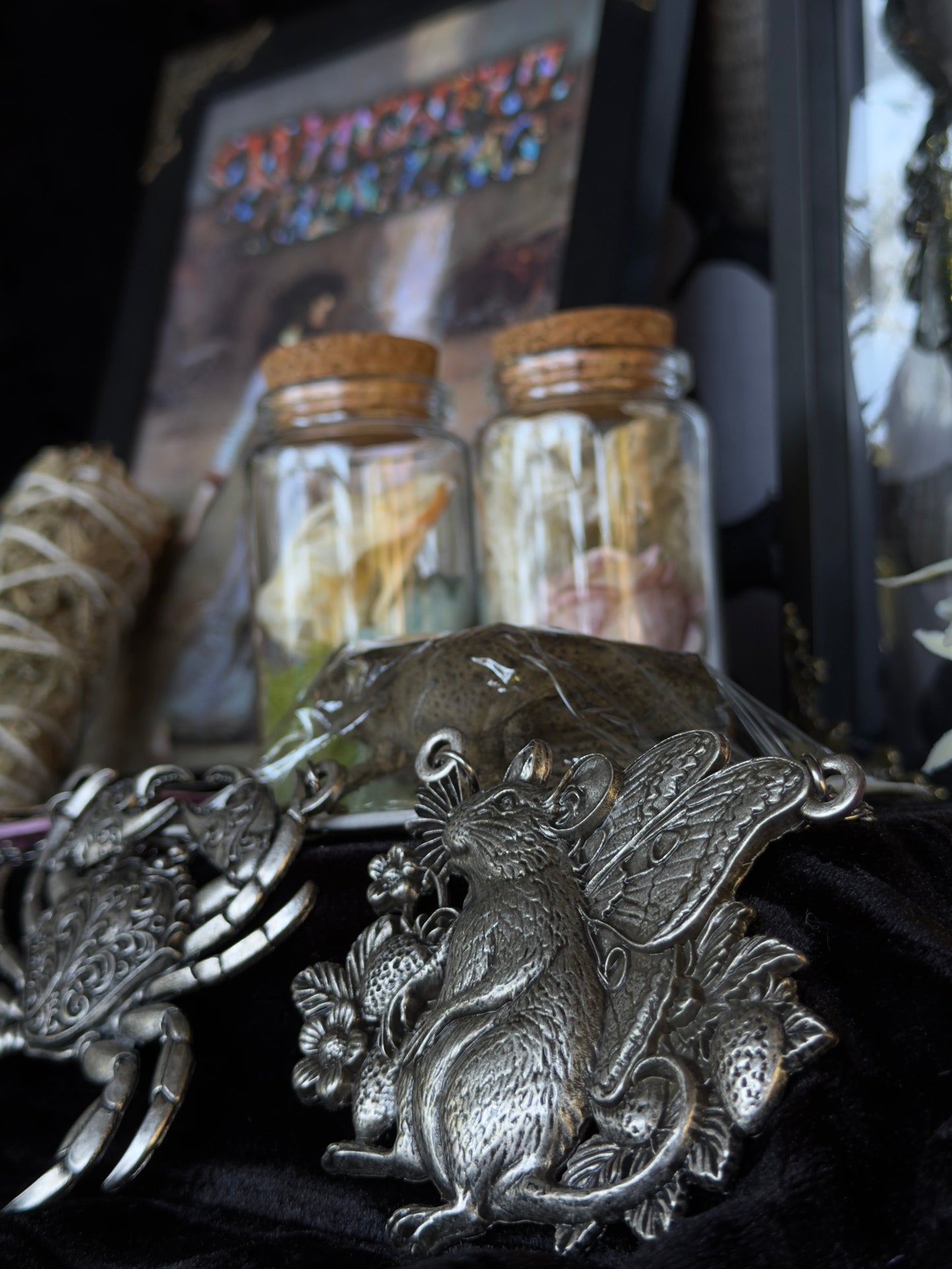 CURIOUS CRITTER VAULT - Mother Of Hades Oddities & Accessories Box