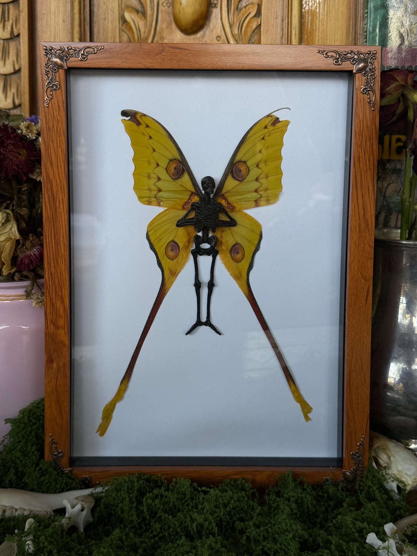 COMET MOTH FAIRY - Mother of Hades Dead Fairy Collection