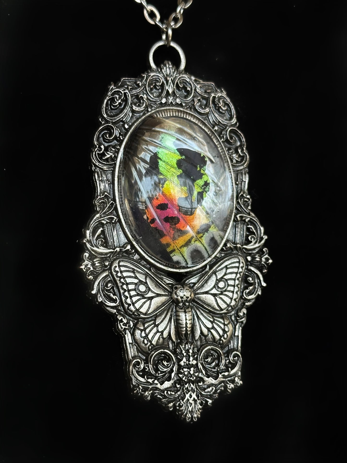 MOTH IN A COFFIN - Mother of Hades Sunset Moth Wing Necklace