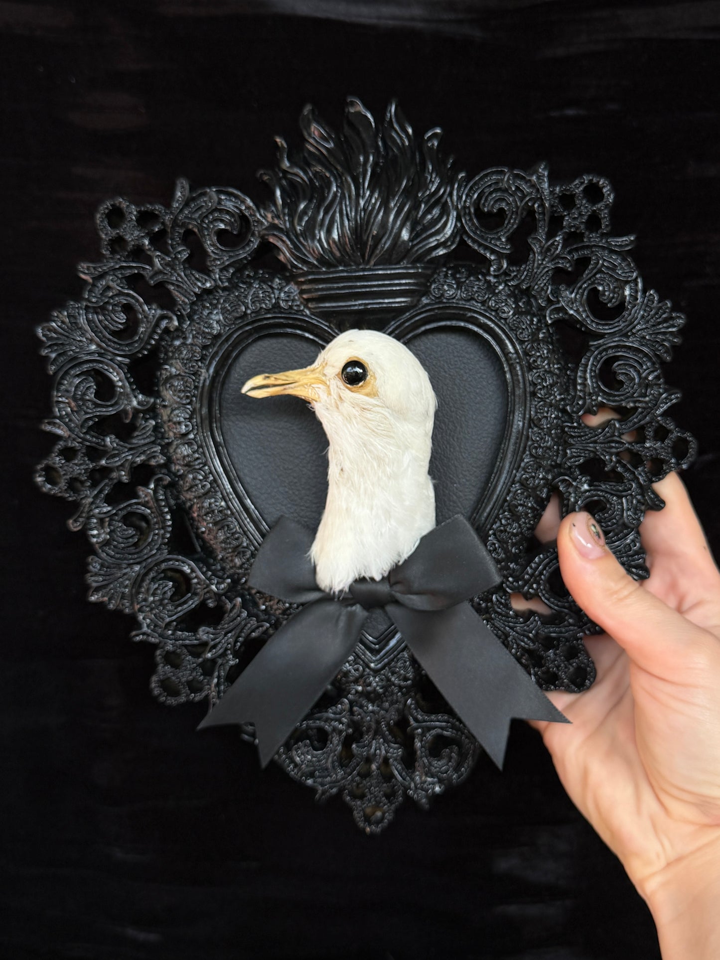 PIGEON HEAD - Mother of Hades Black Heart Open Display Frame