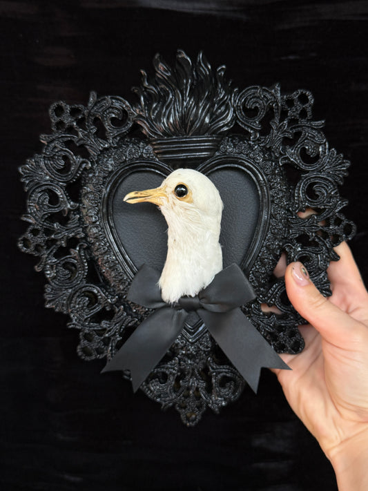 PIGEON HEAD - Mother of Hades Black Heart Open Display Frame