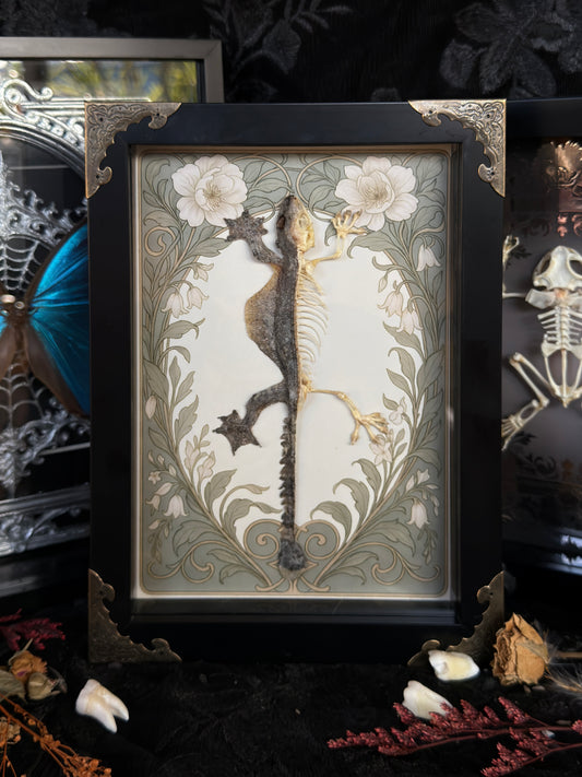 GEKKO KUHLI - Half Skeleton, Half Skin Gekko Frame