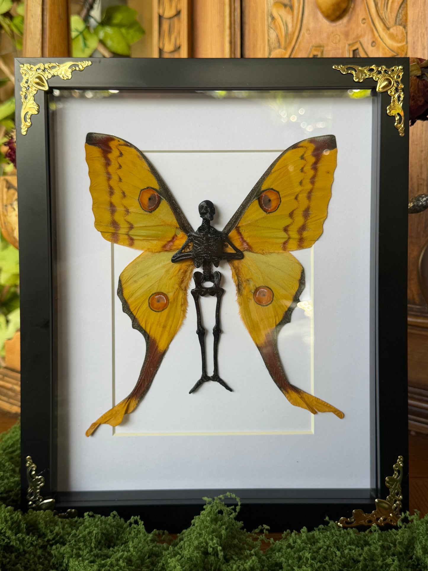 COMET MOTH FAIRY (F) - Mother of Hades Dead Fairy Collection