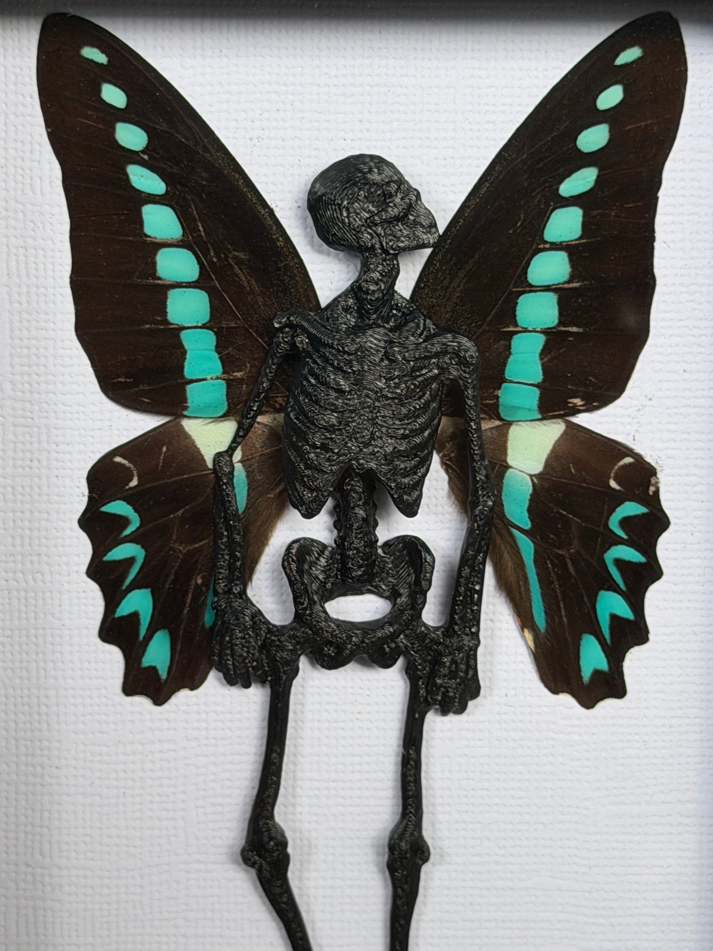 MILON’S SWALLOWTAIL FAIRY - Mother of Hades Dead Fairy Frame