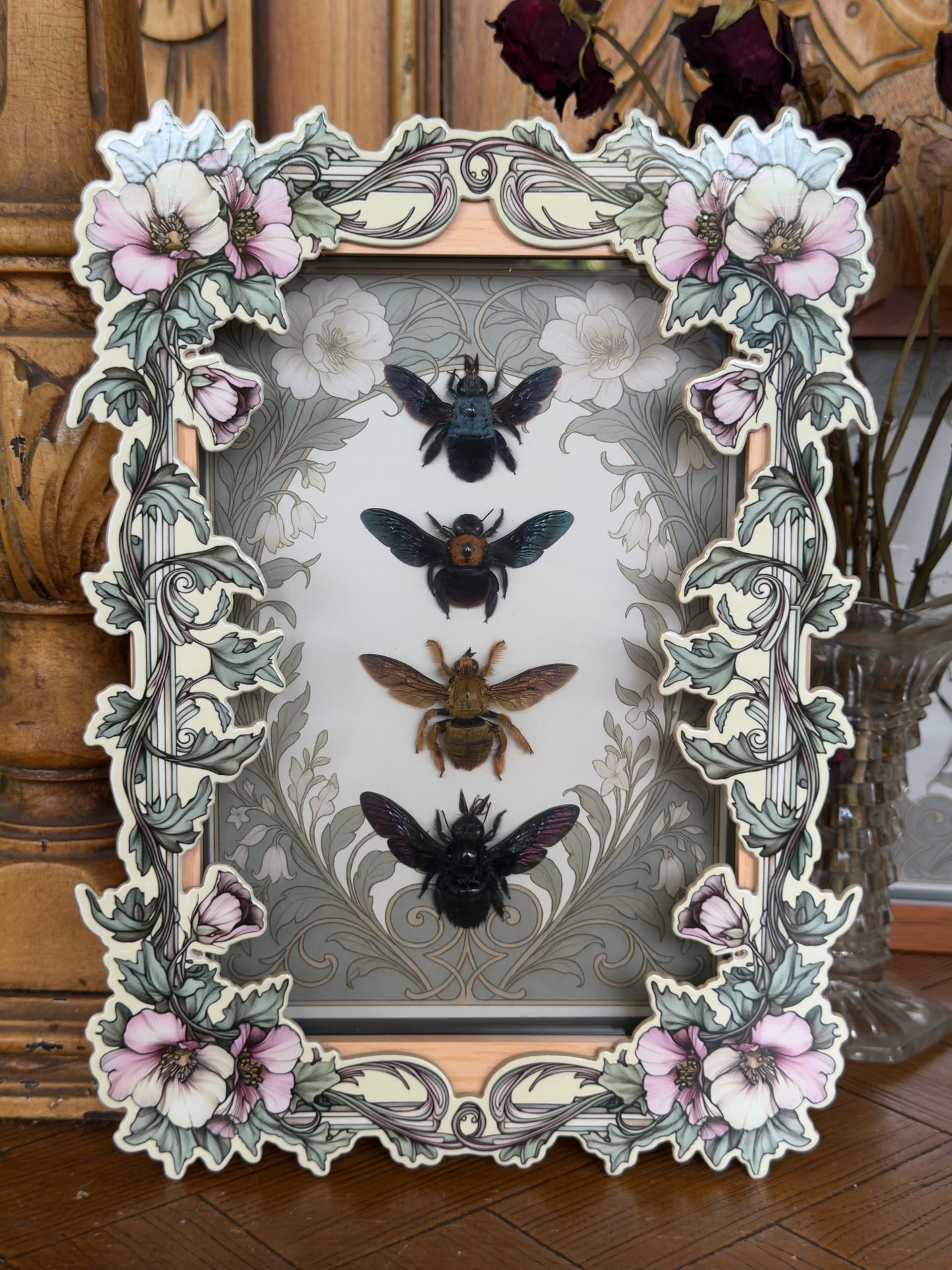 Quad Carpenter Bee Framed Specimens - names in description