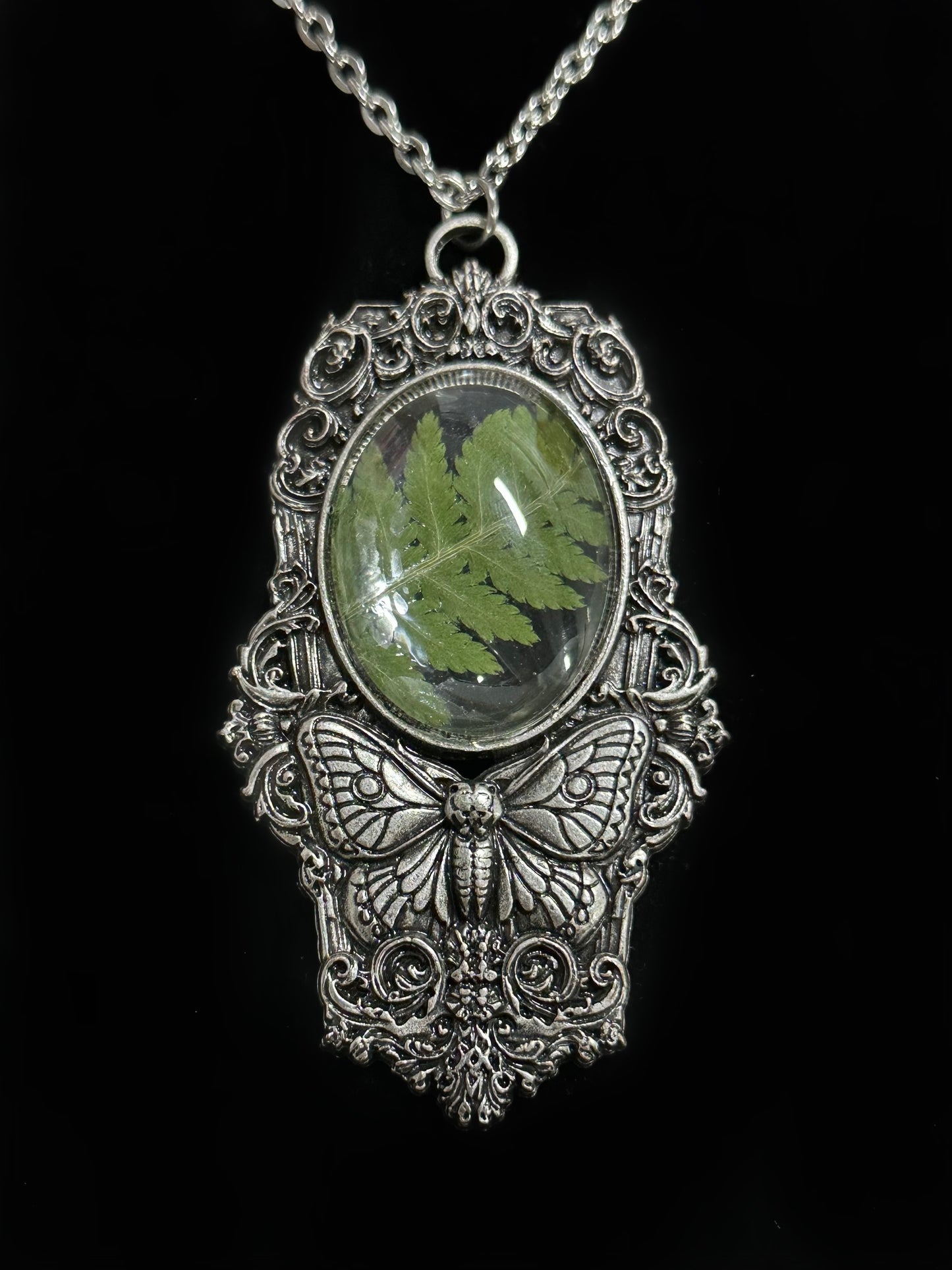 MOTH IN A COFFIN - Mother of Hades Fern Necklace