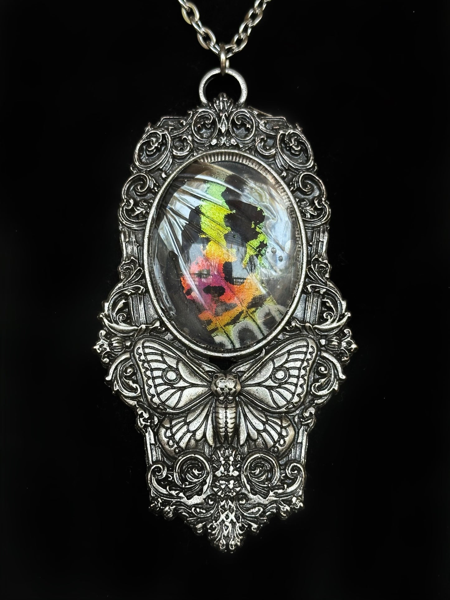 MOTH IN A COFFIN - Mother of Hades Sunset Moth Wing Necklace