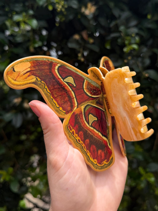 ATTACUS ATLAS MOTH - Moth Hair Clip