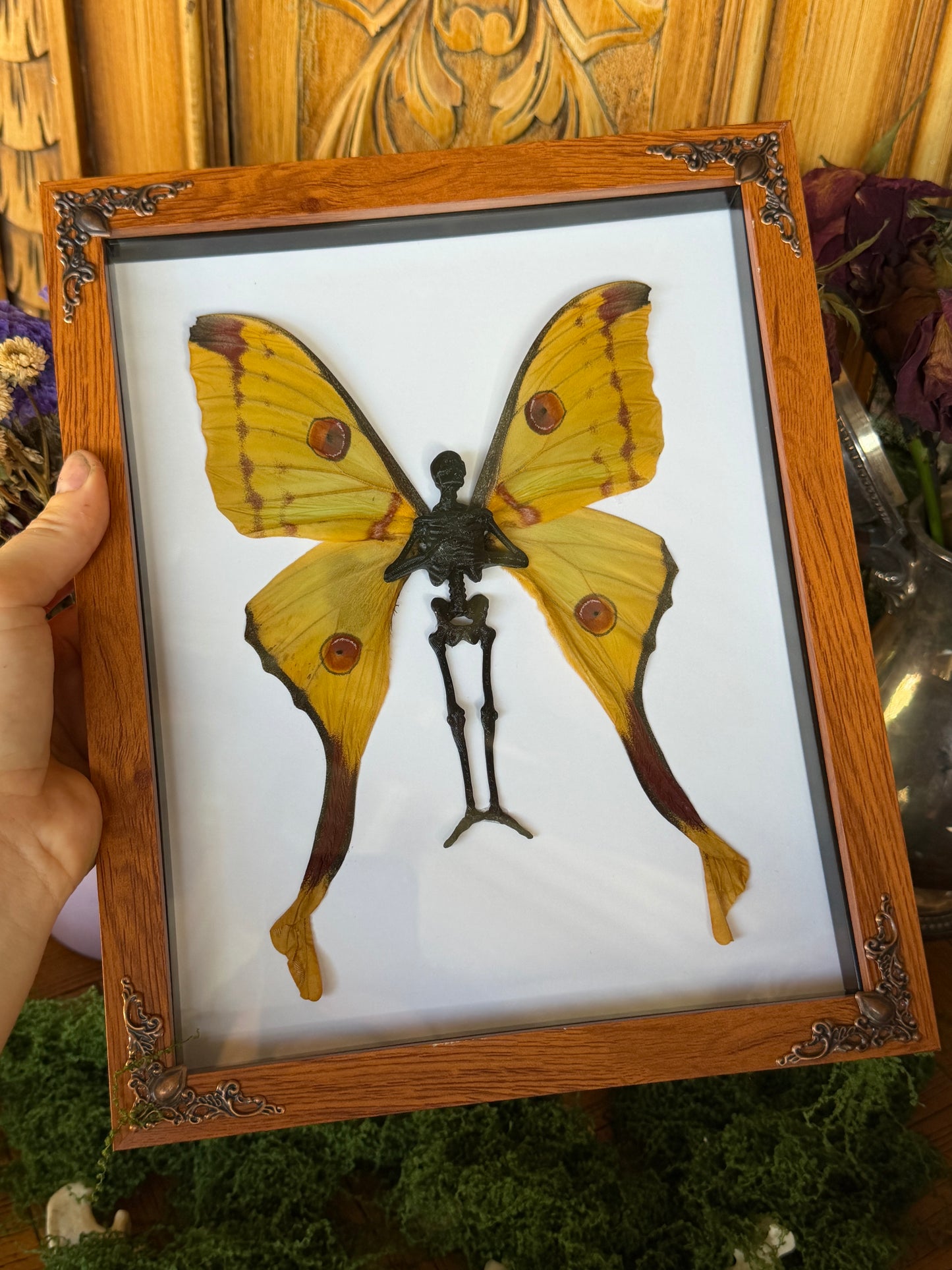 COMET MOTH FAIRY (F) - Mother of Hades Dead Fairy Collection
