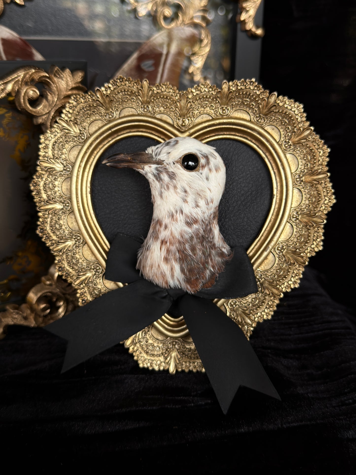 PIGEON HEAD - Mother of Hades Small Gold Heart Open Display Frame