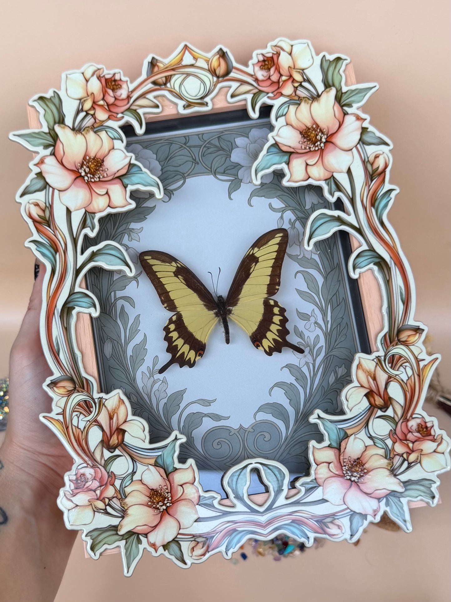 KING SWALLOWTAIL BUTTERFLY - heraclides thoas Framed Specimen