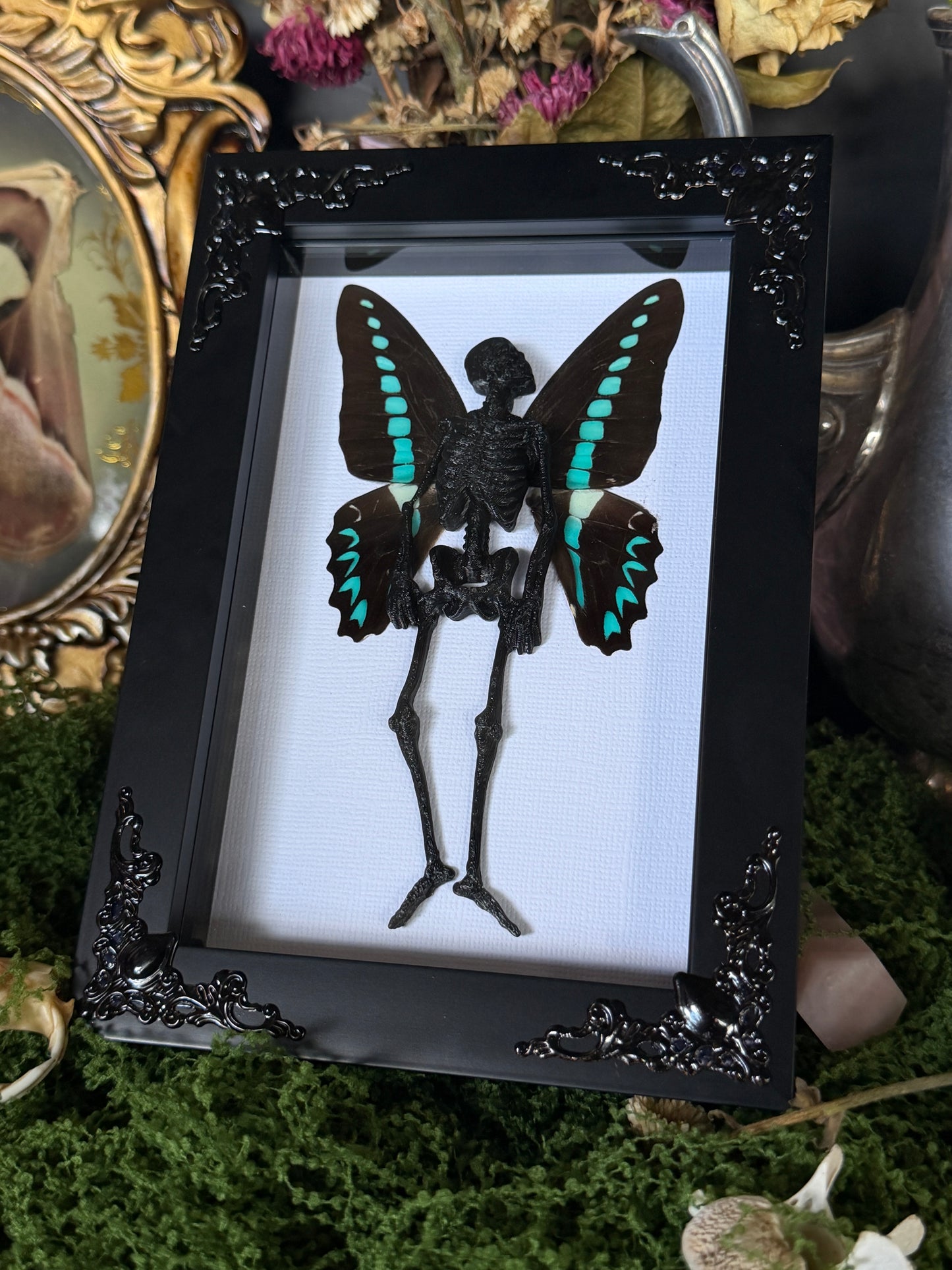 MILON’S SWALLOWTAIL FAIRY - Mother of Hades Dead Fairy Frame