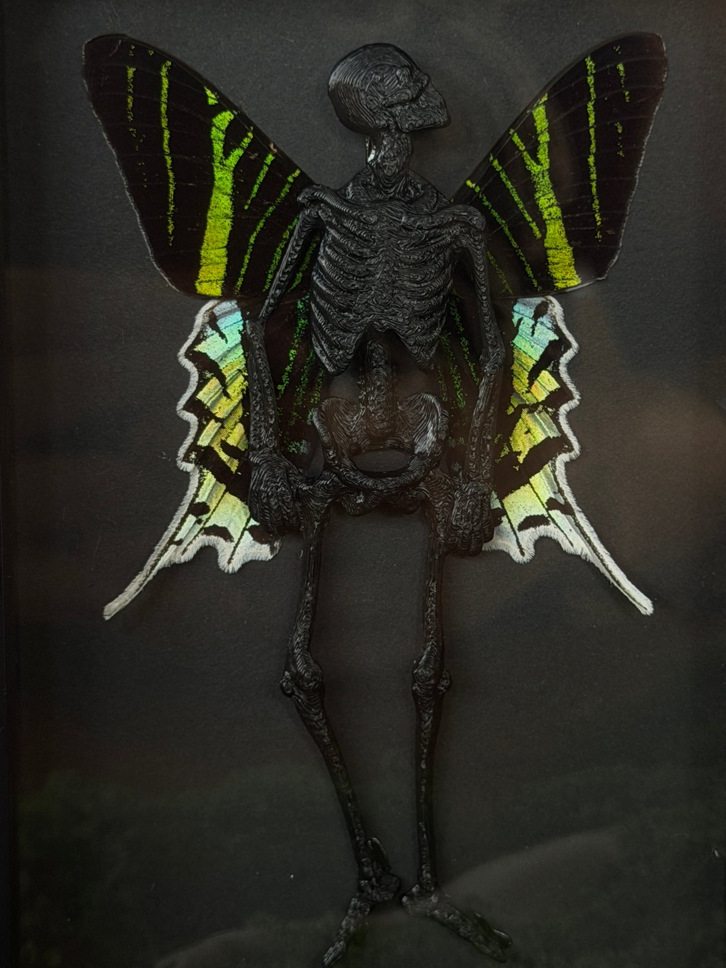 URANIA MOTH FAIRY - Mother of Hades Dead Fairy Collection