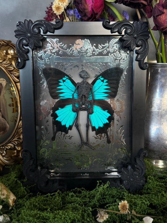 ULYSSES FAIRY - Mother of Hades Dead Fairy Frame
