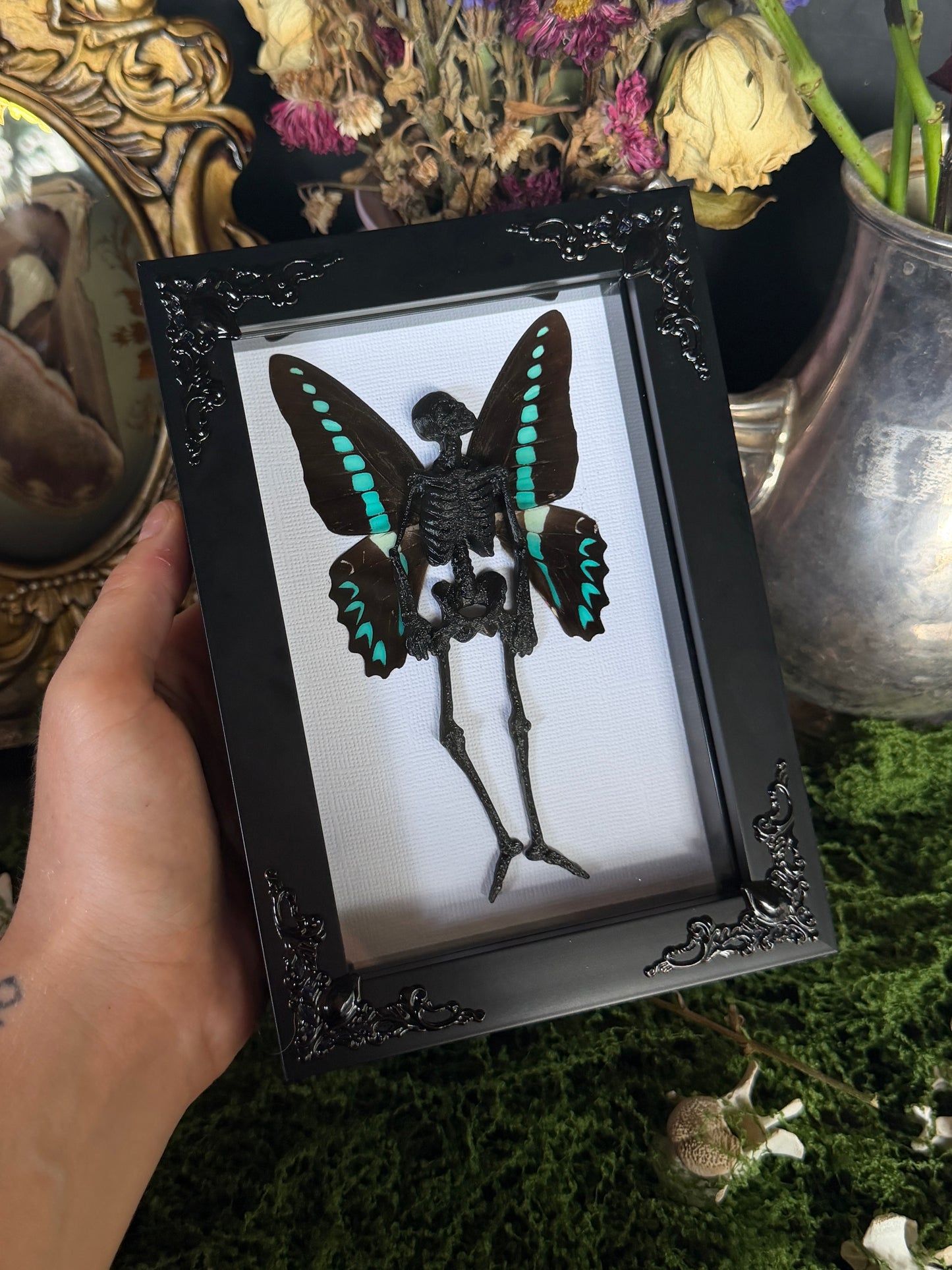 MILON’S SWALLOWTAIL FAIRY - Mother of Hades Dead Fairy Frame