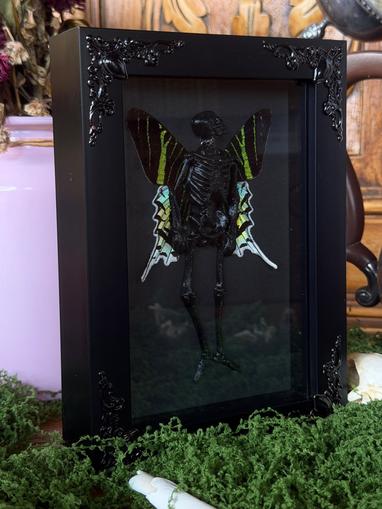 URANIA MOTH FAIRY - Mother of Hades Dead Fairy Collection