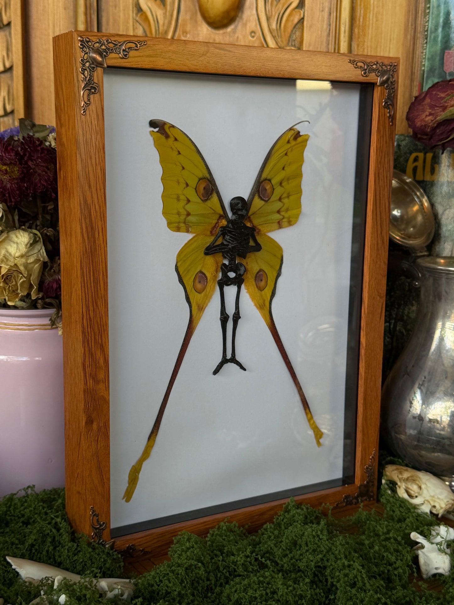 COMET MOTH FAIRY - Mother of Hades Dead Fairy Collection