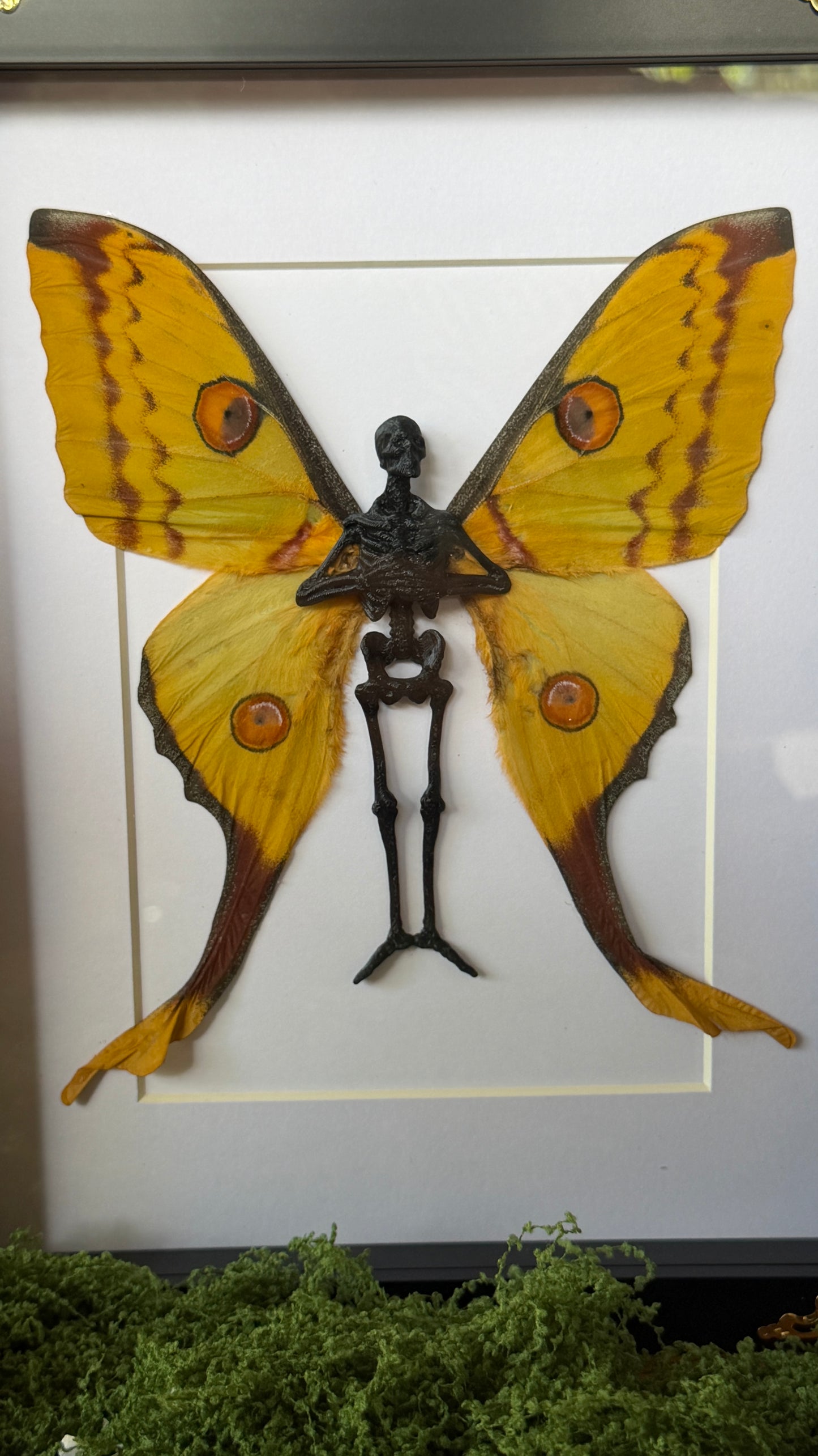 COMET MOTH FAIRY (F) - Mother of Hades Dead Fairy Collection
