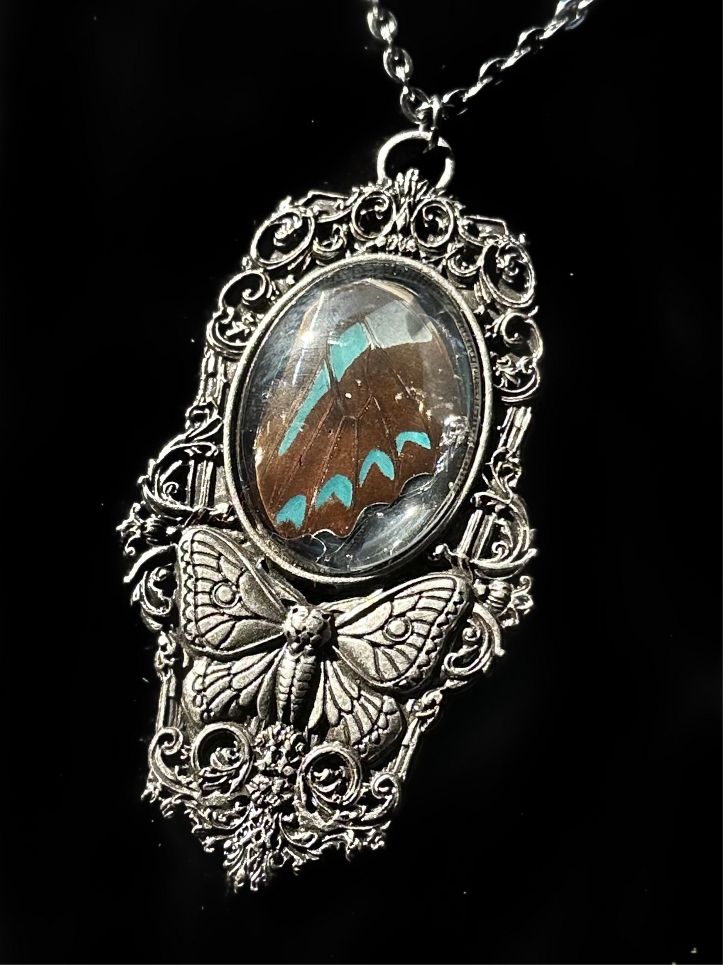 MOTH IN A COFFIN - Mother of Hades Blue Butterfly Wing Necklace