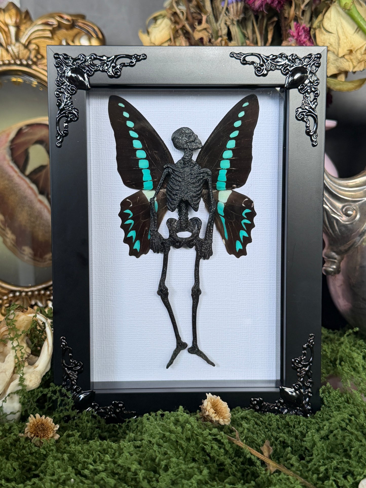 MILON’S SWALLOWTAIL FAIRY - Mother of Hades Dead Fairy Frame