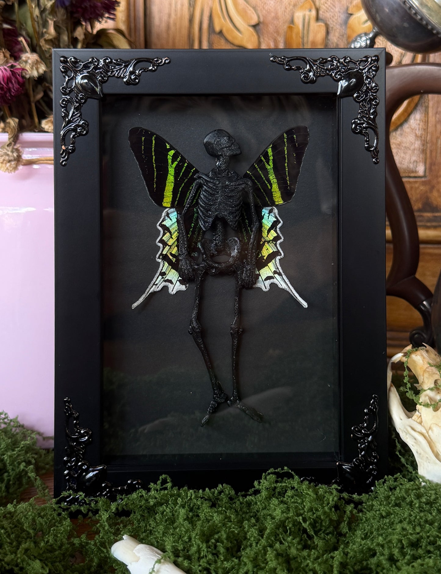 URANIA MOTH FAIRY - Mother of Hades Dead Fairy Collection