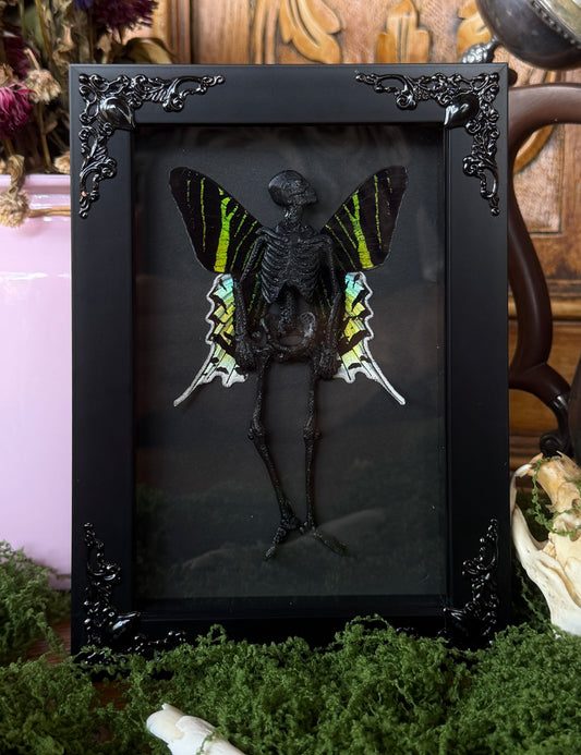 URANIA MOTH FAIRY - Mother of Hades Dead Fairy Collection