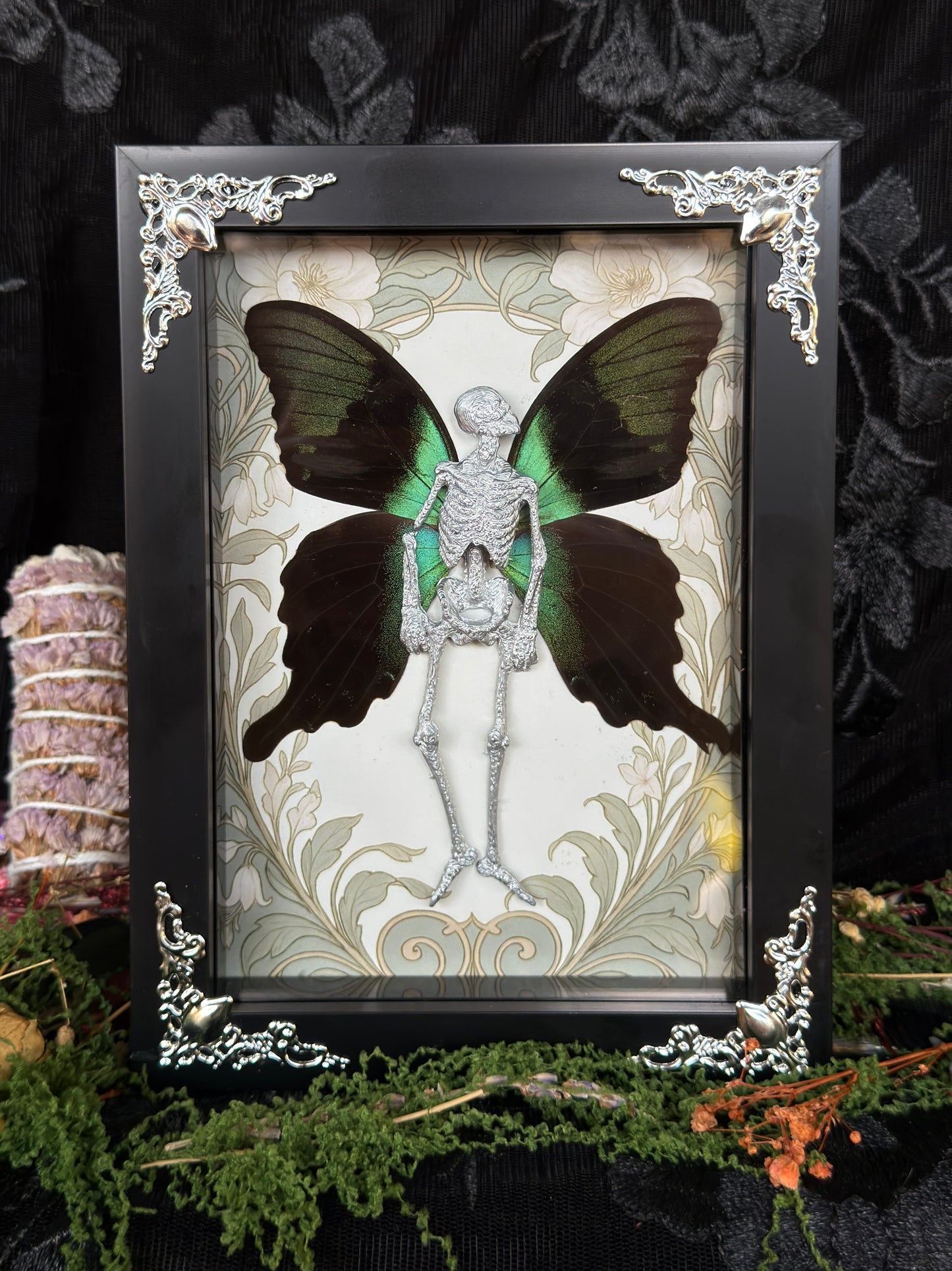 PEACOCK FAIRY - Mother of Hades Dead Fairy Frame