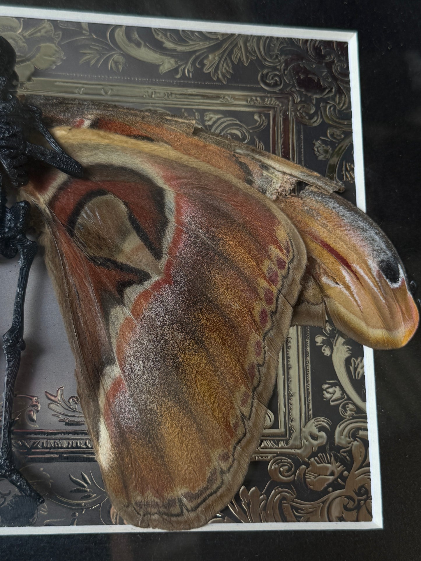 ATLAS FAIRY (silver) - Mother of Hades Dead Fairy Collection