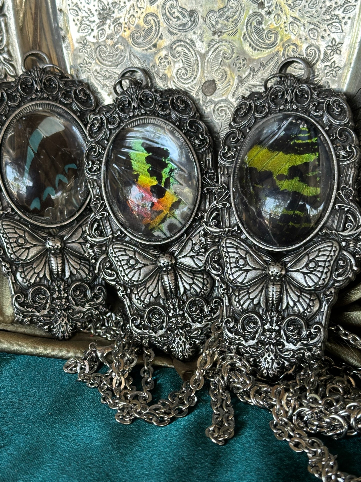 MOTH IN A COFFIN - Mother of Hades Sunset Moth Wing Necklace