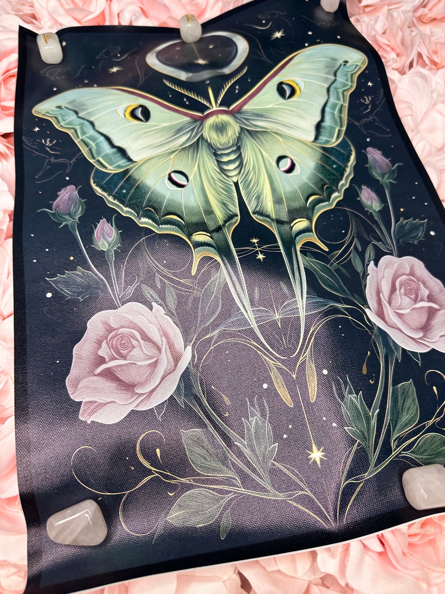 LUNA MOTH MAGIC - a3 canvas print