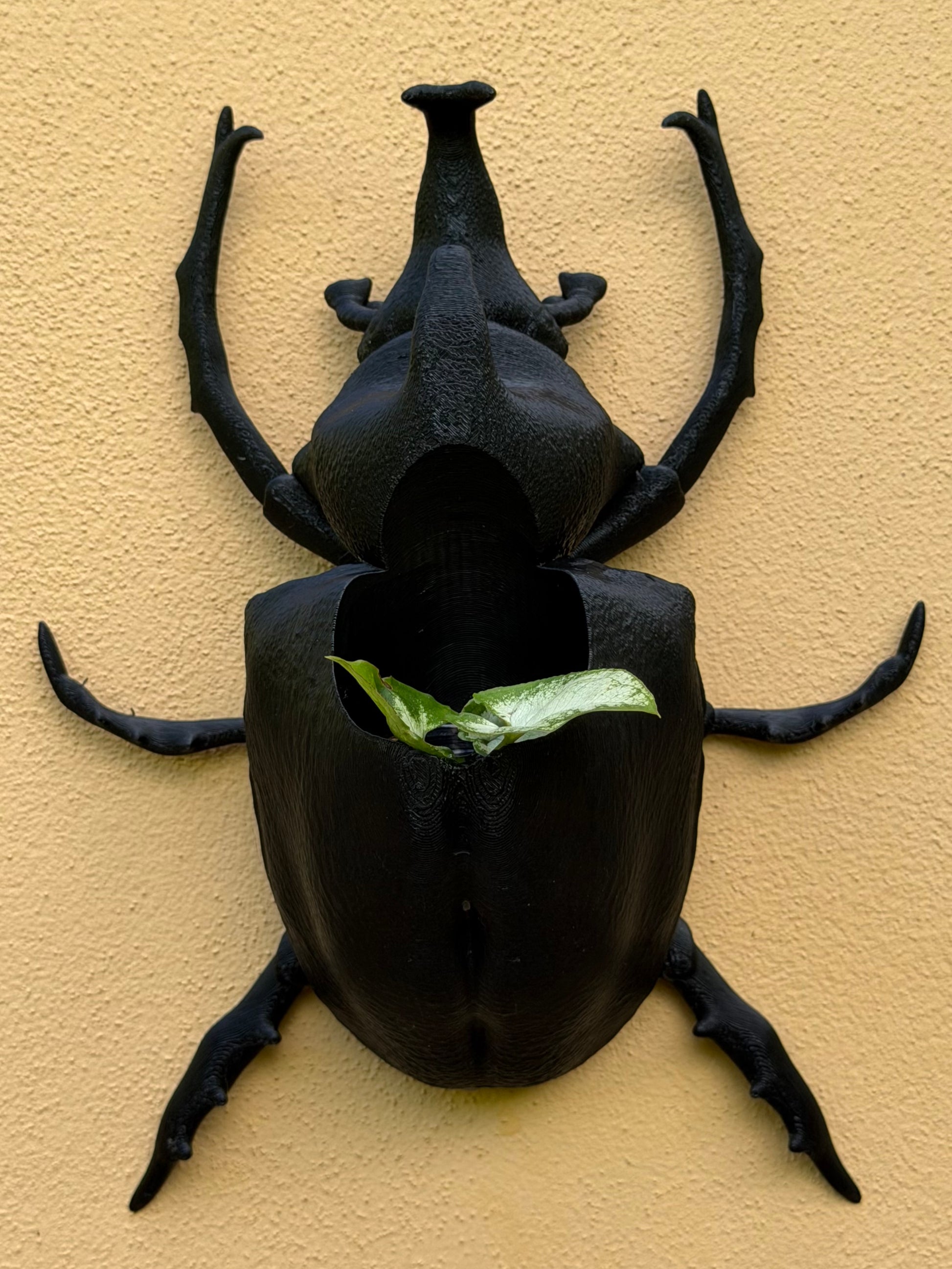 Black beetle-shaped wall art on a beige wall